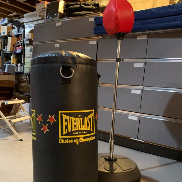 2 in 1 Bundle Everlast Punching & Training Bag - Picture 1 of 1